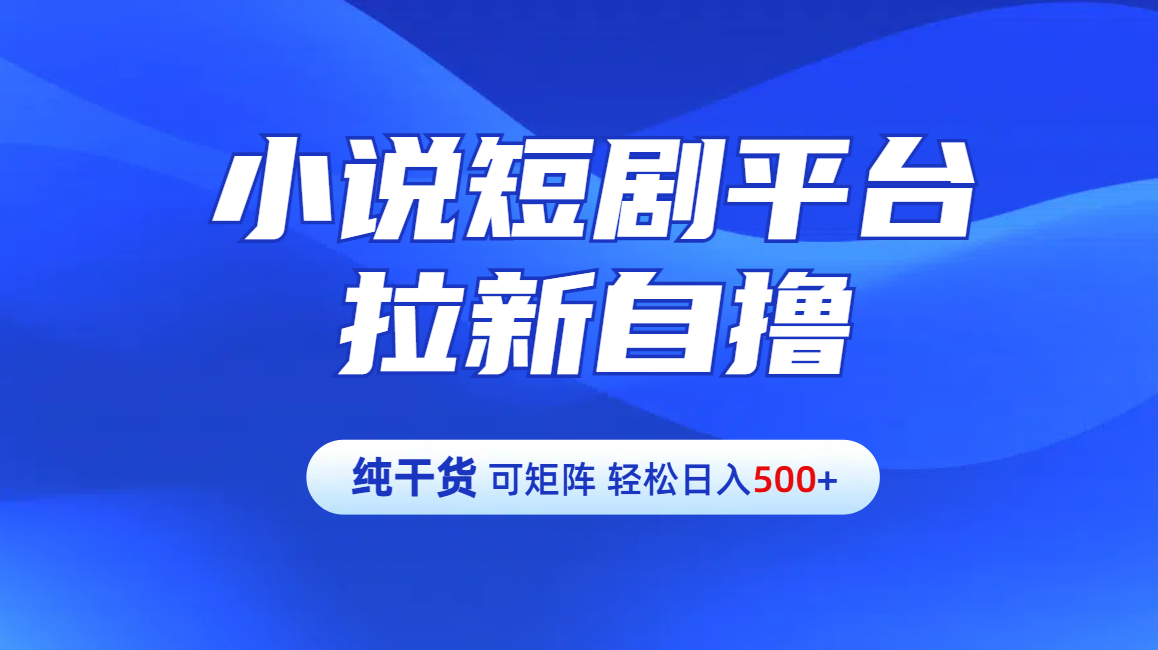 【纯干货】小说短剧平台拉新自撸玩法详解-单人轻松日入500+-悠闲副业网