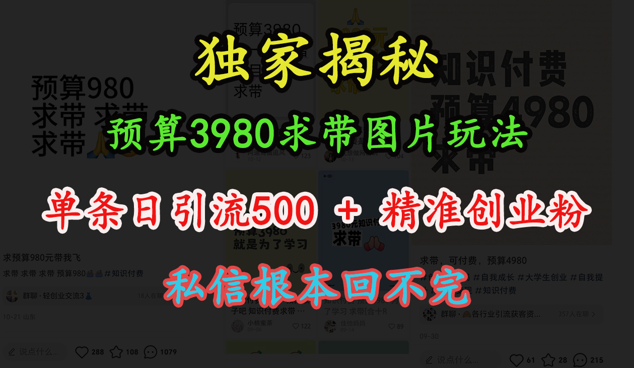 “小红书”预算3980求带 图片玩法，单条日引流500+精准创业粉，私信根本回不完-悠闲副业网