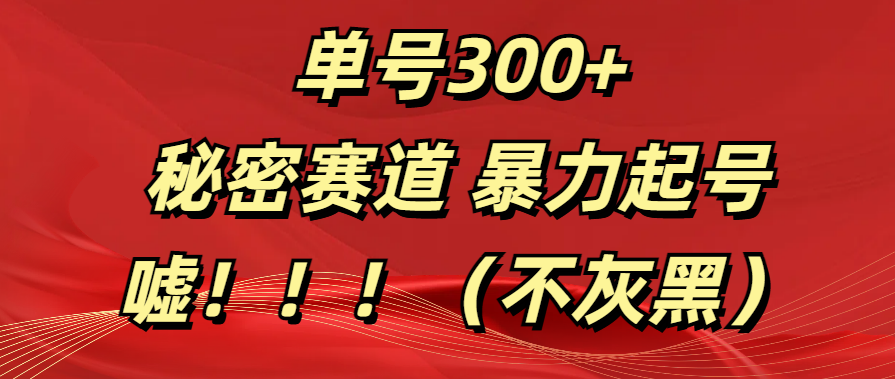 单号300+  秘密赛道 暴力起号  （不灰黑）-悠闲副业网