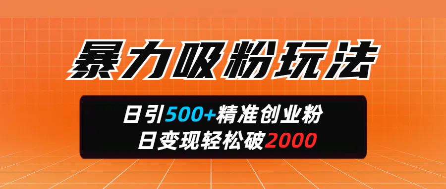 暴力吸粉玩法,日引500+精准创业粉,日变现轻松破2000-悠闲副业网