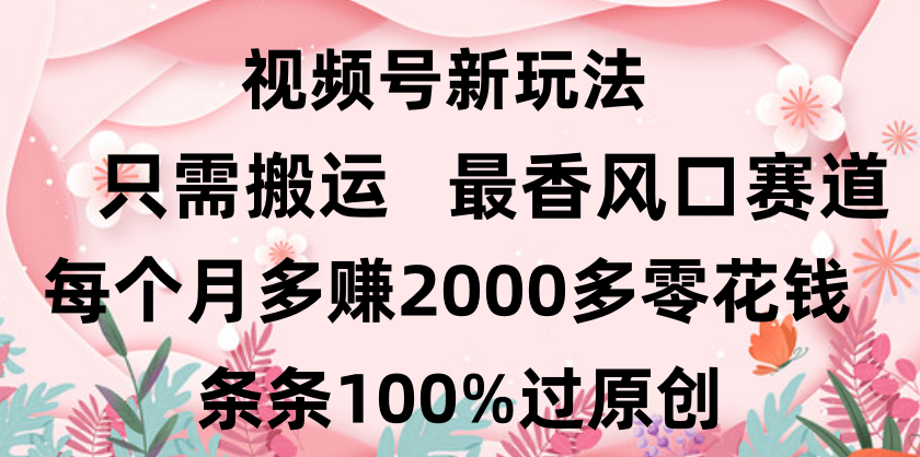 日入2000+，条条100%过原创，视频号最香风口赛道，小白轻松上手-悠闲副业网