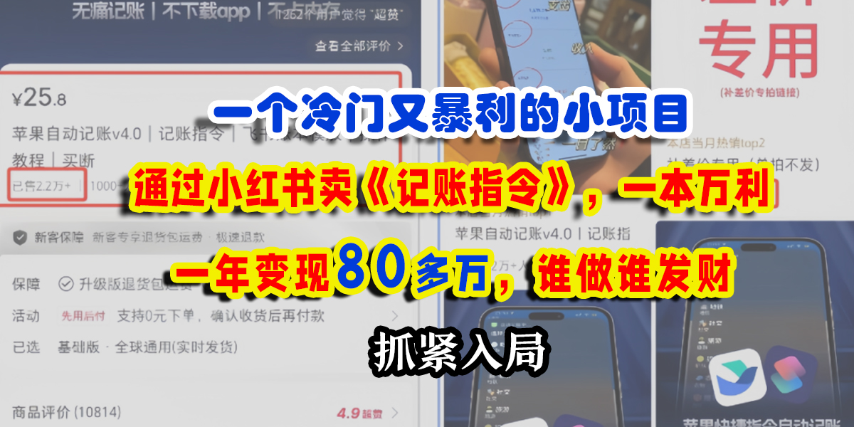 一个冷门又暴利的小项目,通过小红书卖《记账指令》,一本万利,一年变现80多万,谁做谁发财-悠闲副业网