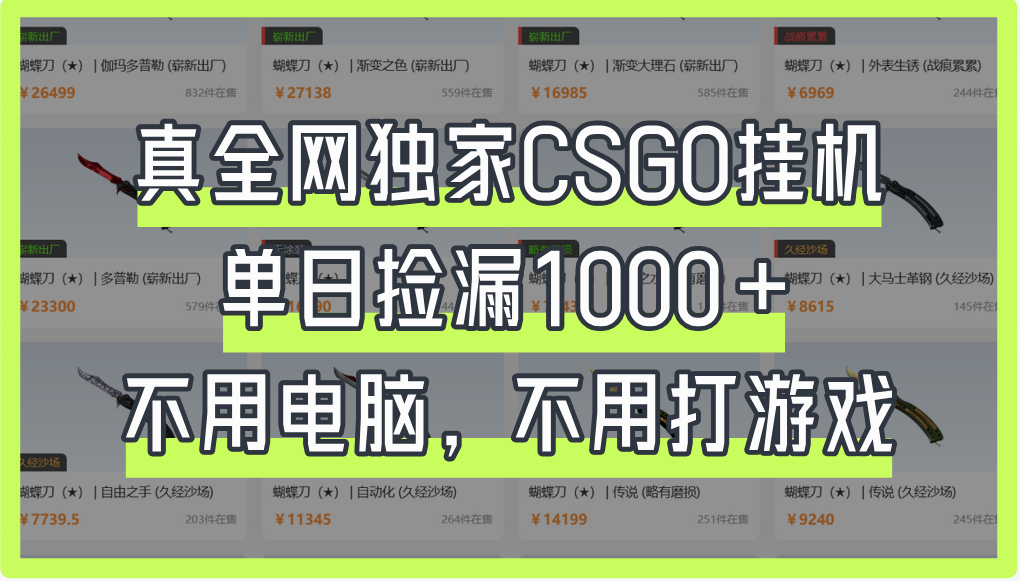 真全网独家CSGO挂机,单日捡漏1000+-悠闲副业网