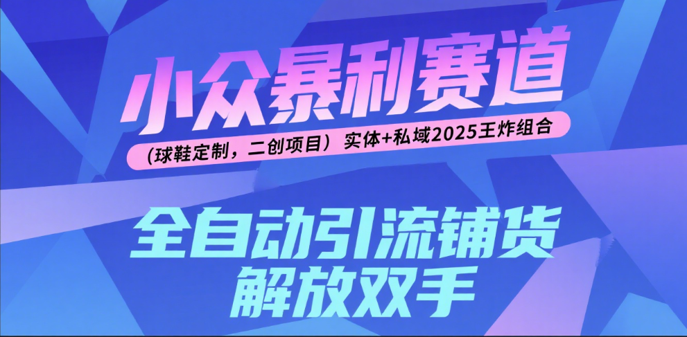楠—小众暴利赛道（球鞋定制，二创项目）实体+私域2025王炸组合-悠闲副业网