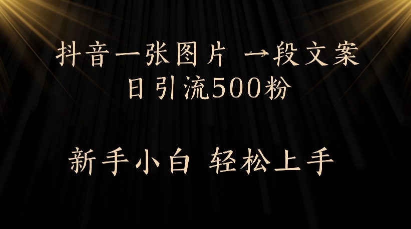 抖音一张图片，一段文案日引流500粉，新手小白 轻松上手-悠闲副业网