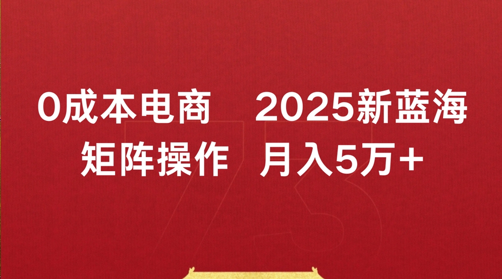 0成本电商2025新蓝海矩阵操作 月入5万+-悠闲副业网
