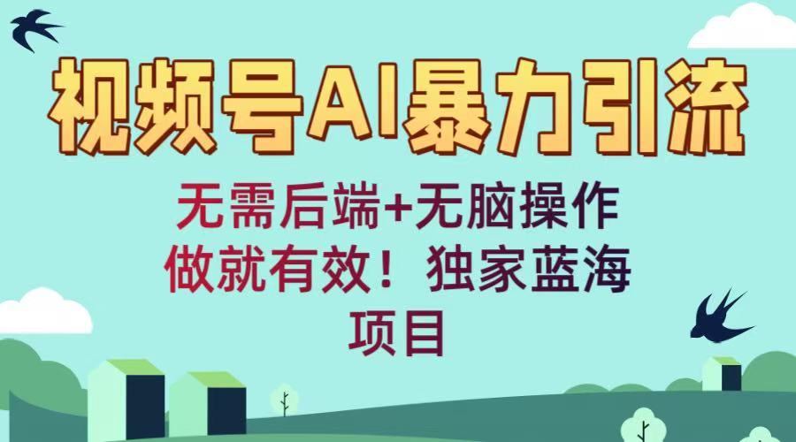 视频号AI暴力引流：无需后端+无脑操作，做就有效！独家蓝海项目-悠闲副业网