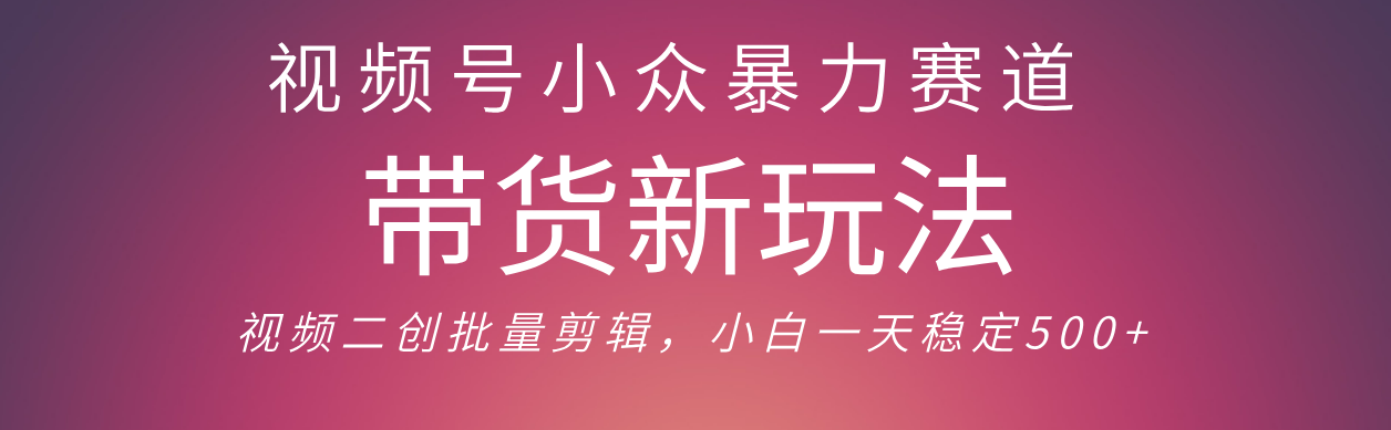 视频号小众暴力赛道，最新带货玩法 小白也能轻松日入500+ 保姆及教程-悠闲副业网