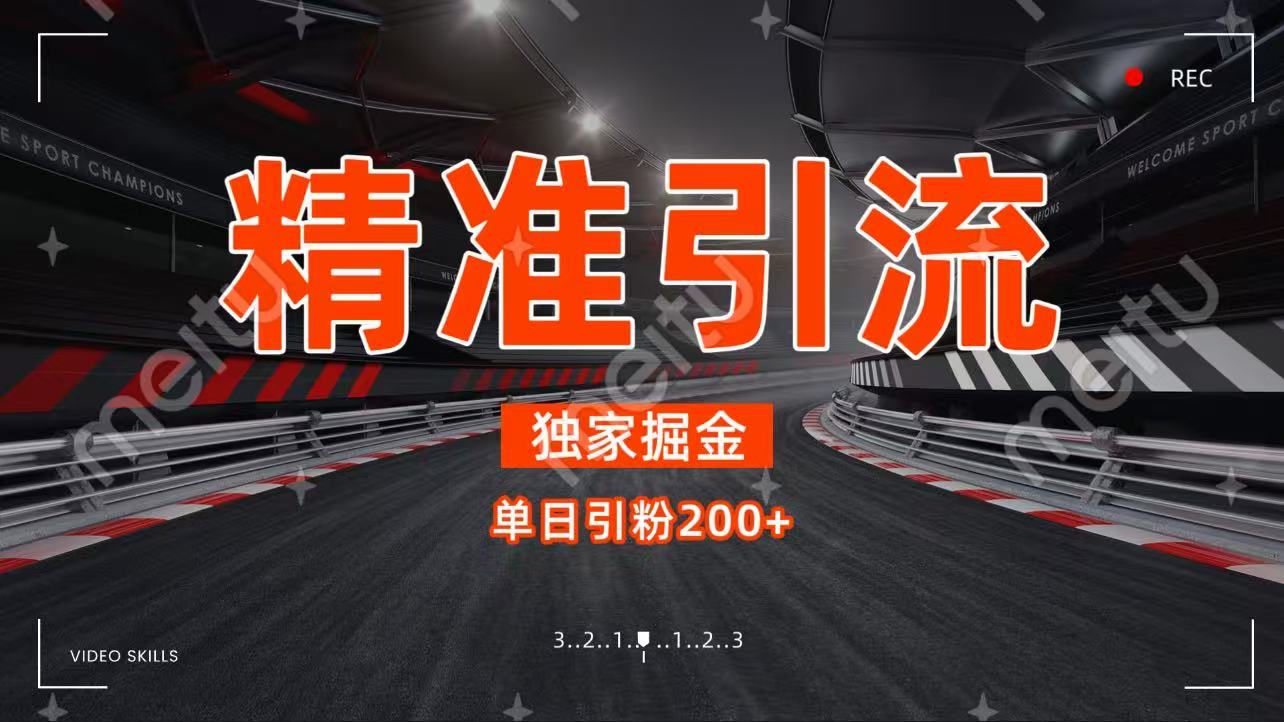 独家野路子精准引流 每日200+-悠闲副业网