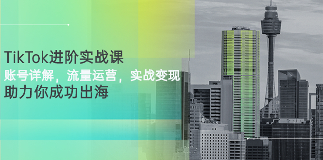 【副业项目3307期】TikTok进阶实战课：账号详解+流量运营+实战变现(tiktok怎么运营)-悠闲副业网