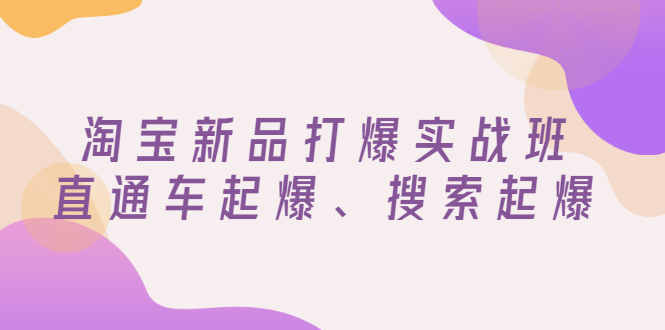 【副业项目3372期】淘宝新品打爆实战班（淘宝店铺如何增加流量和访客）-悠闲副业网