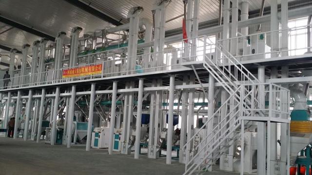 五十吨玉米深加工项目赚钱吗？小型玉米深加工项目有哪些？-悠闲副业网