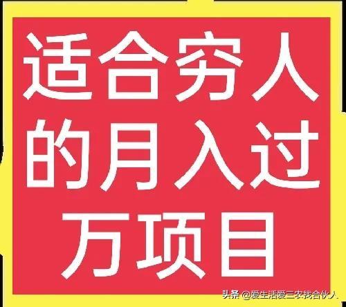 适合农村人做的赚钱项目（在农村做什么项目好）-悠闲副业网
