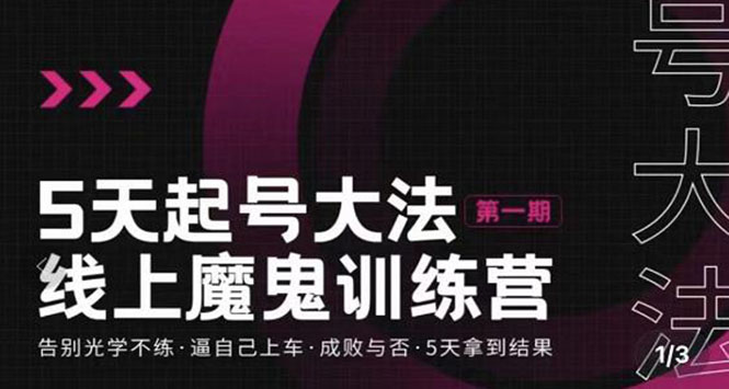 【副业项目3626期】五天起号魔鬼训练营，告别光学不练，逼自己上车，成败与否，5天拿到结果-悠闲副业网
