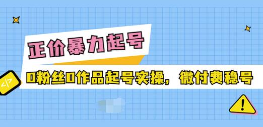 【副业项目3828期】抖音暴力起号实操课：抖音0粉丝0作品起号实操，0粉丝0作品直播-悠闲副业网