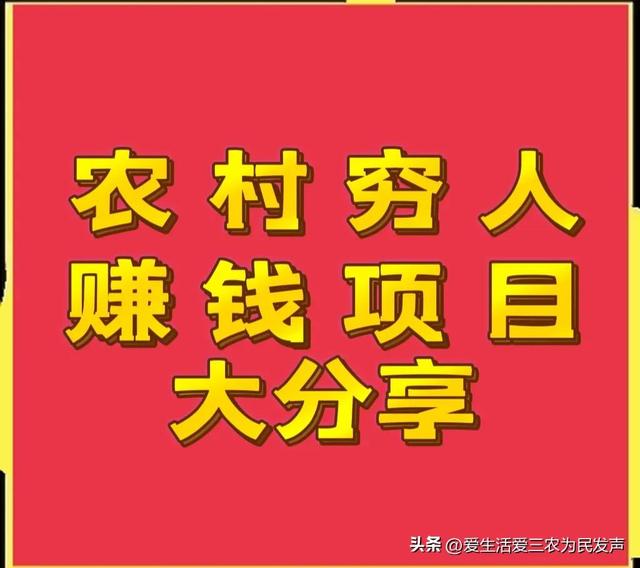 穷人怎么赚钱最快（适合农村穷人创业的项目）-悠闲副业网