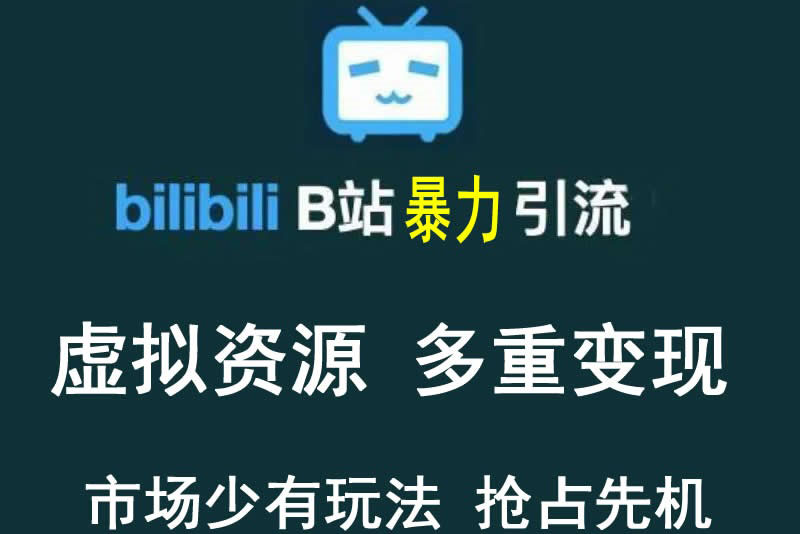 【副业项目3871期】虚拟资源引流方案：B站暴力引流 ，多重变现法-悠闲副业网