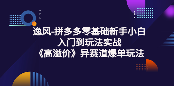 【副业项目3877期】逸风-拼多多新手小白入门到玩法实战，异赛道爆单玩法实操课-悠闲副业网