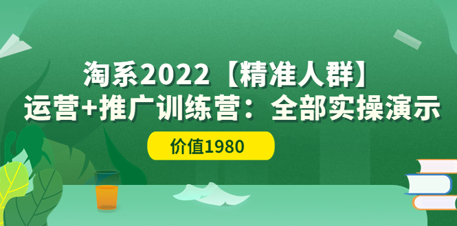 【副业项目3941期】淘系2022【精准人群】运营+推广训练营：全部实操演示-悠闲副业网