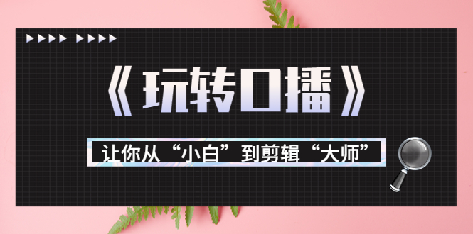 【副业项目3987期】月营业额700万+大佬教您《玩转口播》让你从“小白”到剪辑“大师”-悠闲副业网