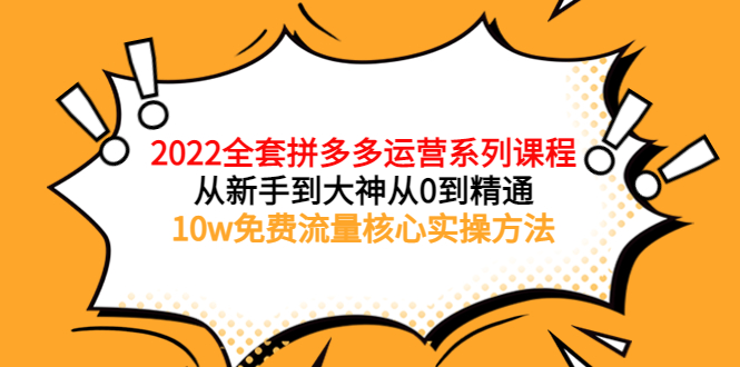 【副业项目4045期】2022全套拼多多运营课程：新手怎么做拼多多电商，10w免费流量核心实操方法-悠闲副业网