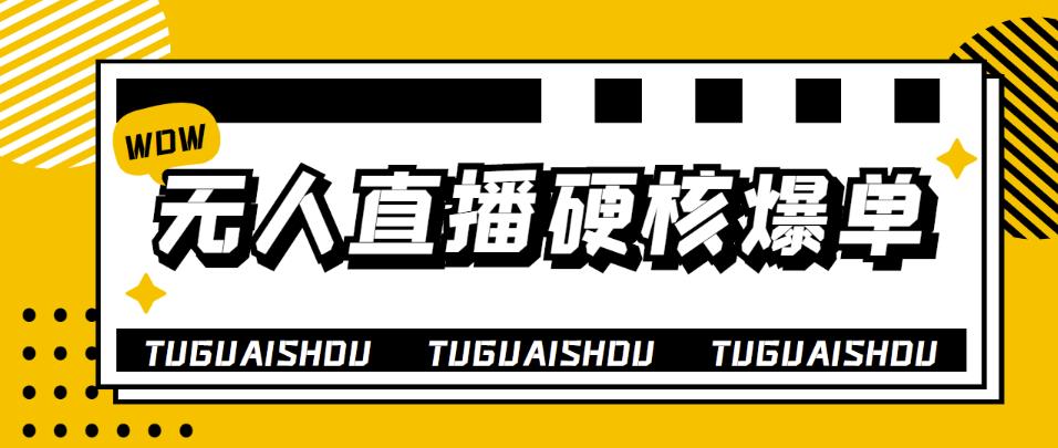 【副业项目4299期】大飞无人直播硬核爆单技术，轻松玩转无人直播，暴利躺赚-悠闲副业网