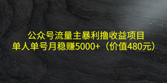 【副业项目4325期】公众号流量主暴利撸收益项目，单人单号月稳赚5000+（价值480元-悠闲副业网