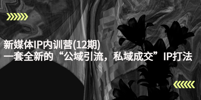 【副业项目4405期】新媒体IP内训营(12期)：一套全新的“公域引流，私域成交”IP打法，直接带走-悠闲副业网
