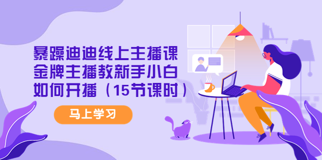 【副业项目4495期】暴躁迪迪线上主播课，金牌主播教新手小白如何开播（15节课时）-悠闲副业网