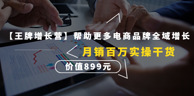 【副业项目4547期】【王牌增长营】帮助更多电商品牌全域增长，月销百万实操干货，价值899元-悠闲副业网
