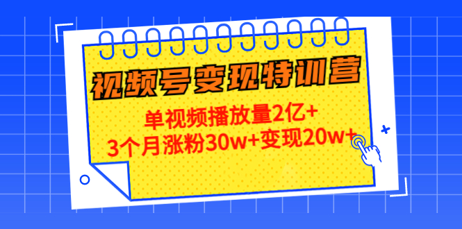 【副业项目4713期】20天视频号变现特训营：单视频播放量2亿+3个月涨粉30w+变现20w+-悠闲副业网