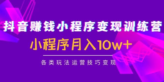 【副业项目4765期】抖音赚钱小程序变现训练营：小程序月入10w+各类玩法运营技巧变现-悠闲副业网