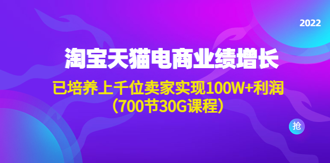 【副业项目4675期】淘系天猫电商业绩增长：已培养上千位卖家实现100W+利润（700节30G课程）-悠闲副业网