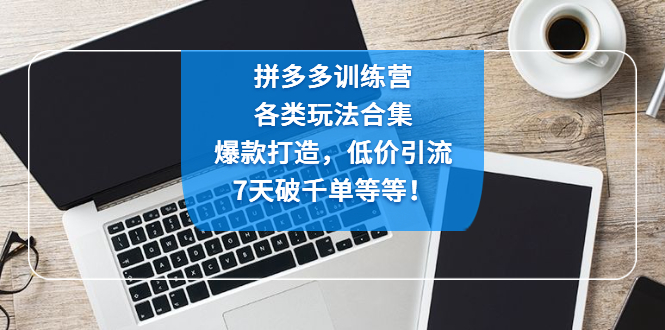 【副业项目4925期】拼多多训练营：各玩法合集，爆款打造，低价引流，7天破千单等等-悠闲副业网