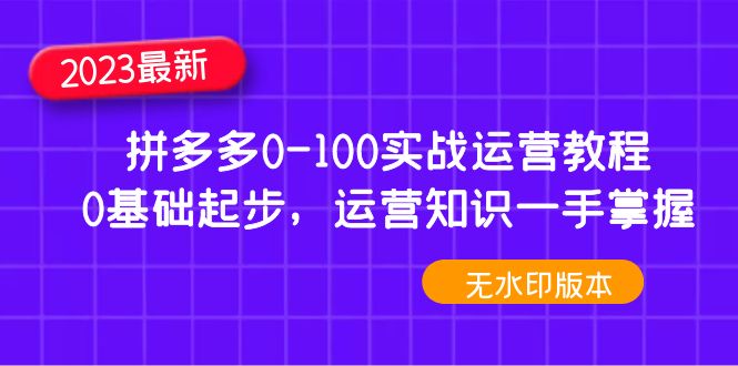 【副业项目5048期】2023拼多多0-100实战运营教程，0基础起步，运营知识一手掌握-悠闲副业网