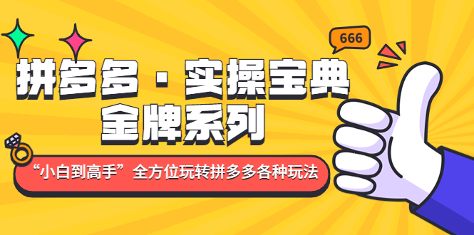 【副业项目5130期】拼多多·实操宝典：金牌系列“小白到高手”带你全方位玩转拼多多各种玩法-悠闲副业网