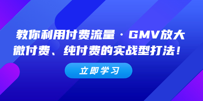 【副业项目5265期】教你利用付费流量·GMV放大，微付费、纯付费的实战型打法-悠闲副业网