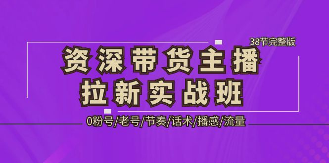 【副业项目5333期】资深·带货主播拉新实战班，0粉号/老号/节奏/话术/播感/流量-38节完整版-悠闲副业网