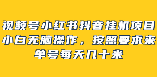 【副业项目2904期】视频号小红书抖音挂机项目，小白无脑操作，按照要求来，单号每天几十米-悠闲副业网