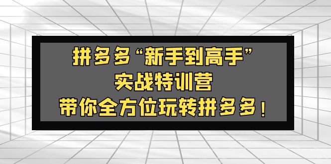 【副业项目5317期】拼多多“新手到高手”实战特训营：带你全方位玩转拼多多-悠闲副业网