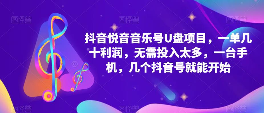 【副业项目5503期】抖音音乐号U盘项目 一单几十利润 无需投入太多 一台手机 几个抖音号就开始-悠闲副业网