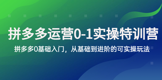 【副业项目5801期】拼多多-运营0-1实操训练营，拼多多0基础入门，从基础到进阶的可实操玩法-悠闲副业网
