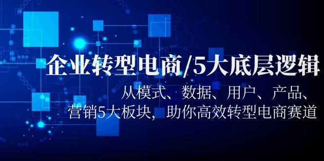【副业项目5960期】企业转型电商/5大底层逻辑，从模式 数据 用户 产品 营销5大板块，高效转型-悠闲副业网