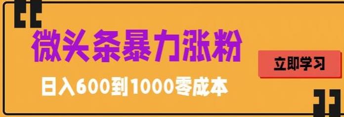【副业项目5970期】微头条暴力涨粉技巧搬运文案就能涨几万粉丝，简单0成本，日赚600-悠闲副业网