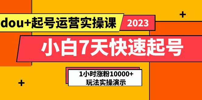 【副业项目5906期】小白7天快速起号：dou+起号运营实操课，实战1小时涨粉10000+玩法演示-悠闲副业网