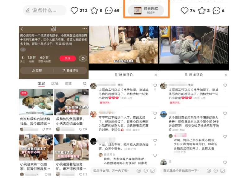 【副业项目5898期】小红书蓝海类赛道：小动物打赏与购买变现副业项目，一条龙玩法分享给你！-悠闲副业网