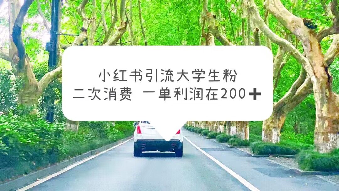 【副业项目5937期】小红书引流大学生粉，变现项目，一单利润在200+（教程+资源）-悠闲副业网