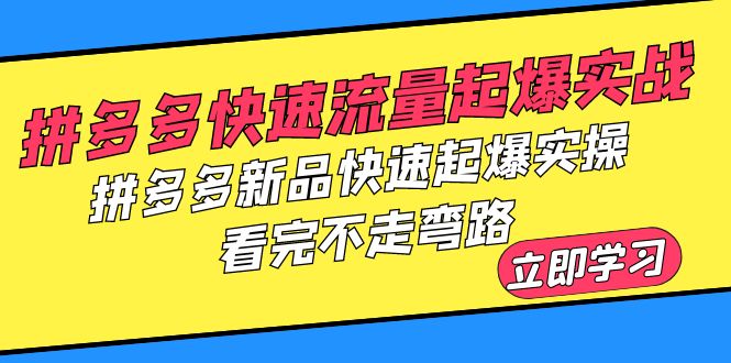 【副业项目6310期】拼多多-快速流量起爆实战，拼多多新品快速起爆实操，看完不走弯路-悠闲副业网