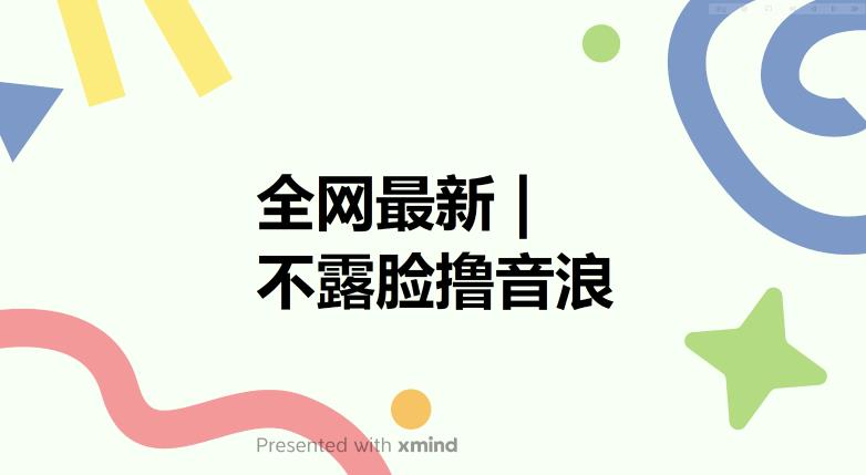【副业项目6074期】全网最新不露脸撸音浪，跑通自动化成交闭环，实现出单+收徒收益最大化【揭秘】-悠闲副业网