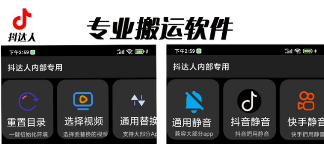 【副业项目6743期】对外收费699抖音傻瓜式一键搬运，起号专用5分钟一个视频《软件+详细教程》-悠闲副业网